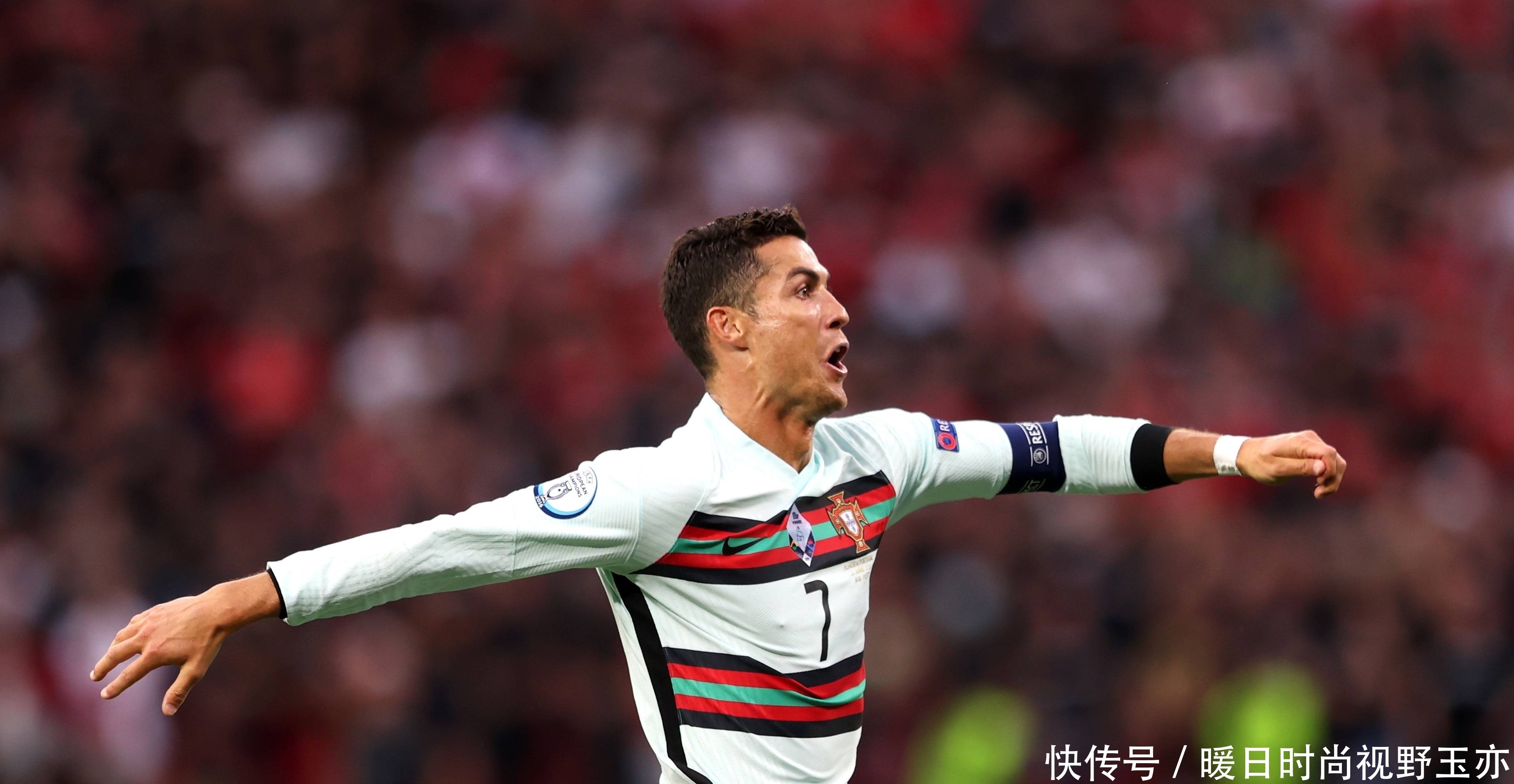 炉膛一体动物油熬练直烧锅