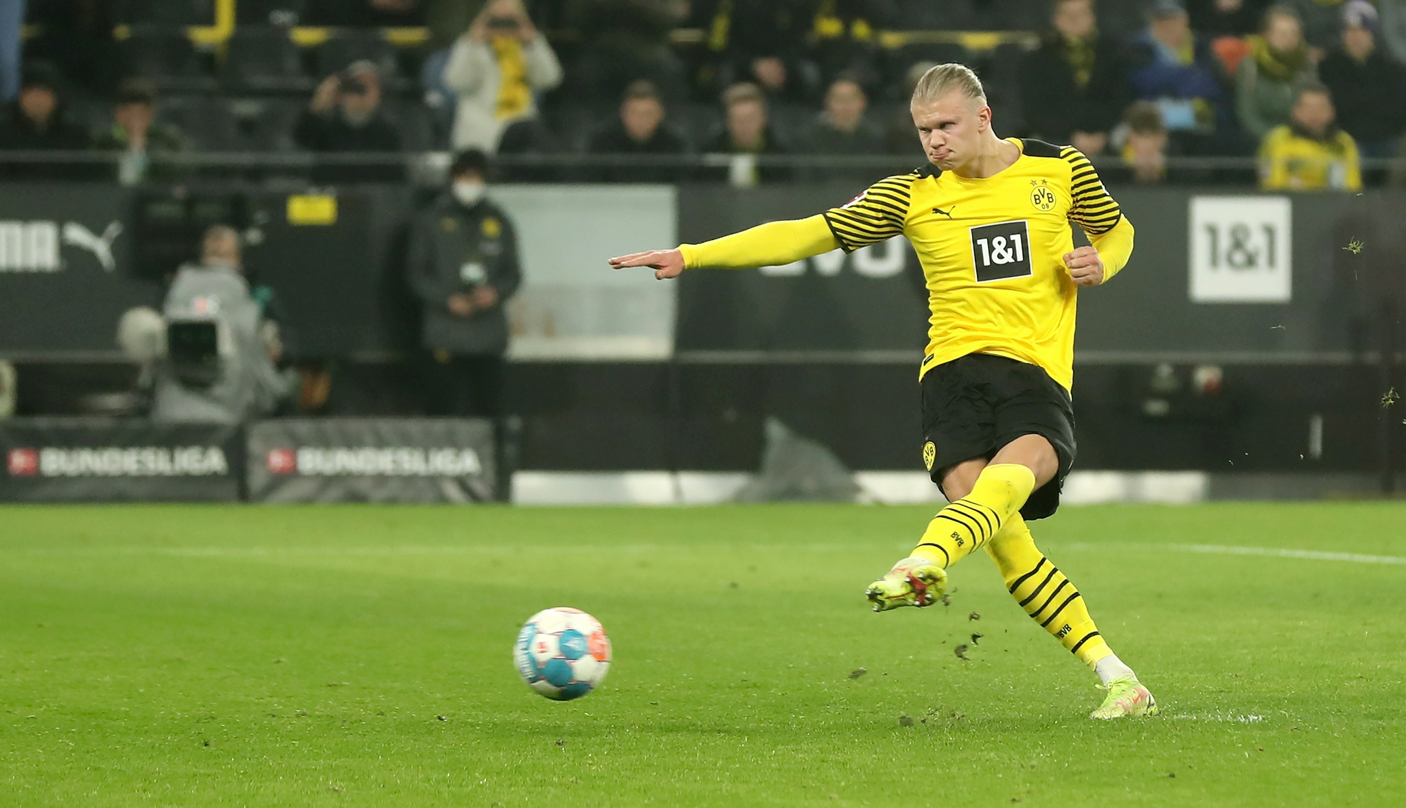 菜籽油热榨和冷榨工艺的区别？