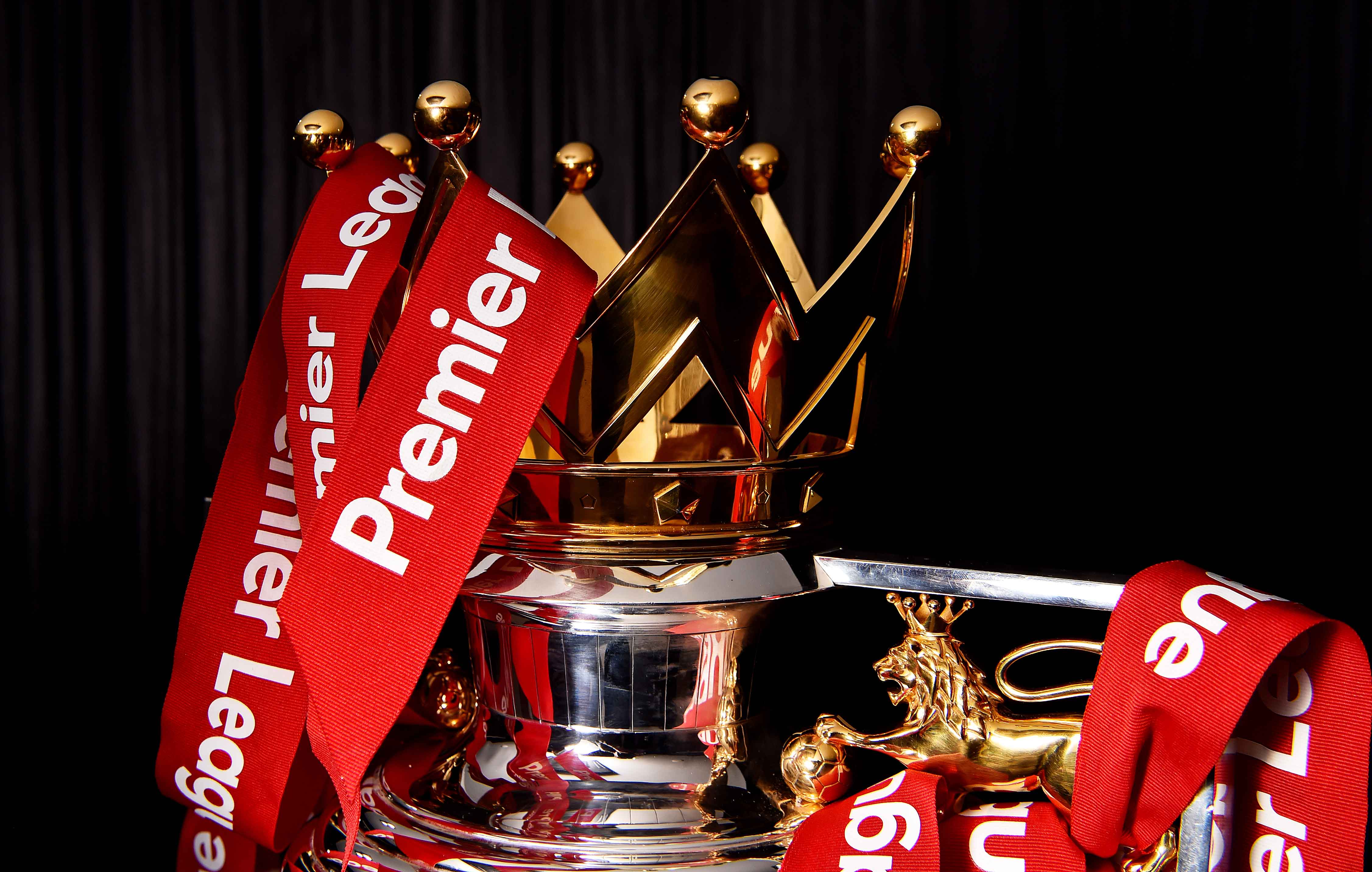 炉膛一体动物油熬练直烧锅