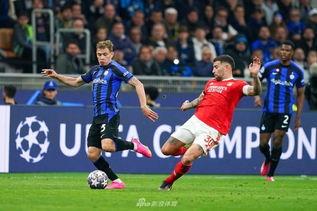 平板烘干机 油脂机械预处理设备